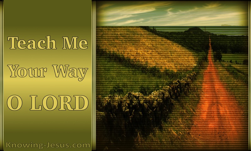 Psalm 27:11 Teach Me Your Way (sage)